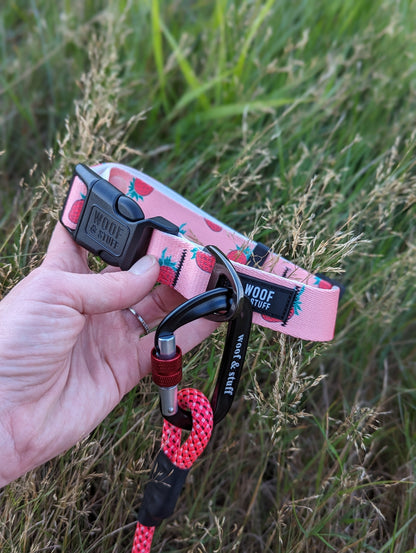 Woof & Stuff Strawberry Collar
