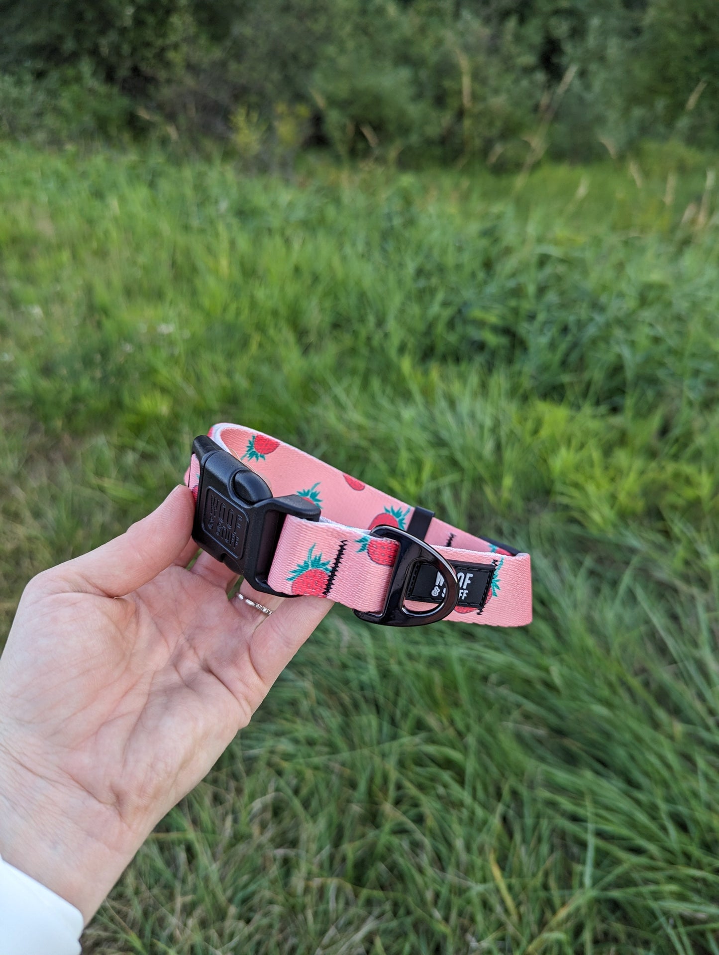 Woof & Stuff Strawberry Collar