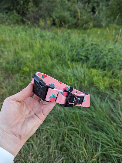 Woof & Stuff Strawberry Collar