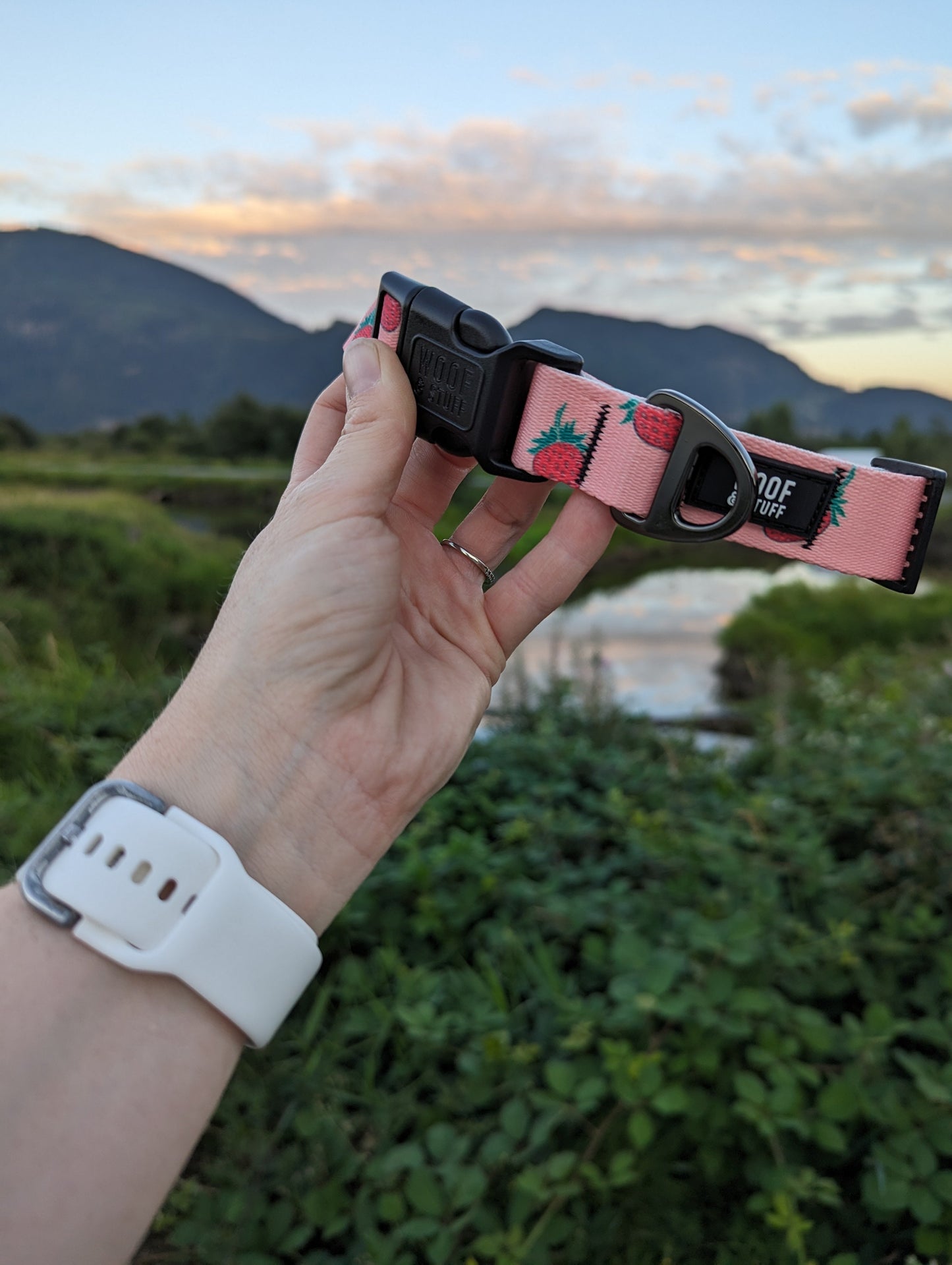 Woof & Stuff Strawberry Collar