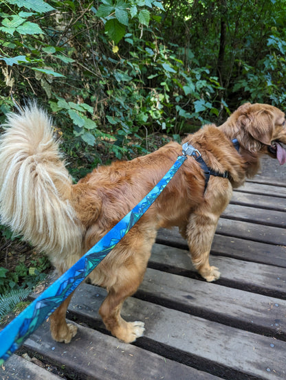 Woof & Stuff West Coast Waterproof Leash
