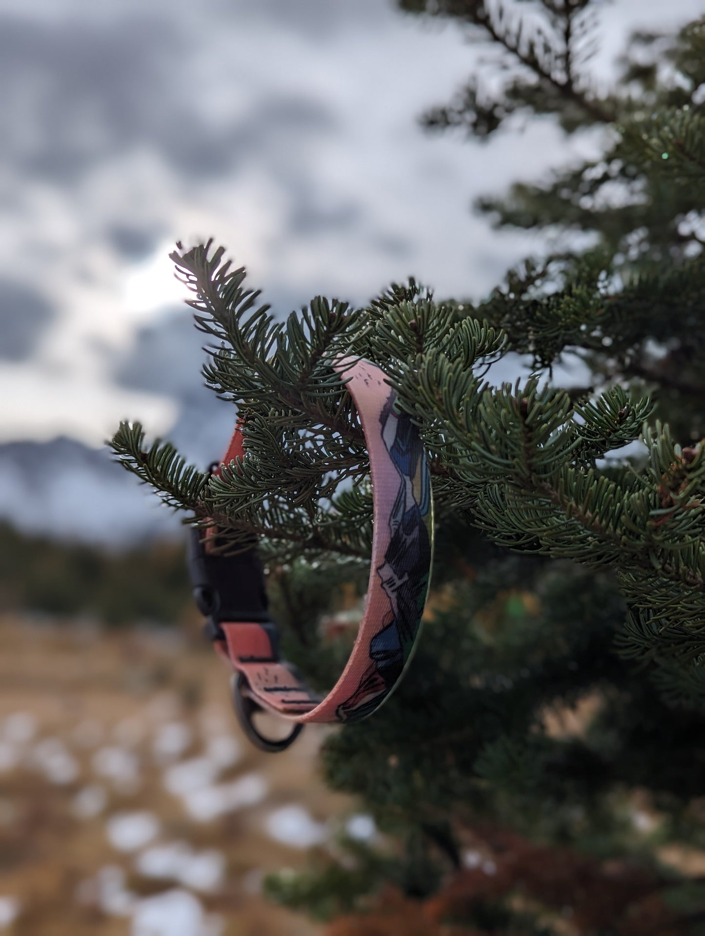 Woof & Stuff Sunrise Peaks Waterproof Collar