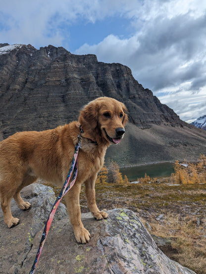 Woof & Stuff Sunrise Peaks Waterproof Leash