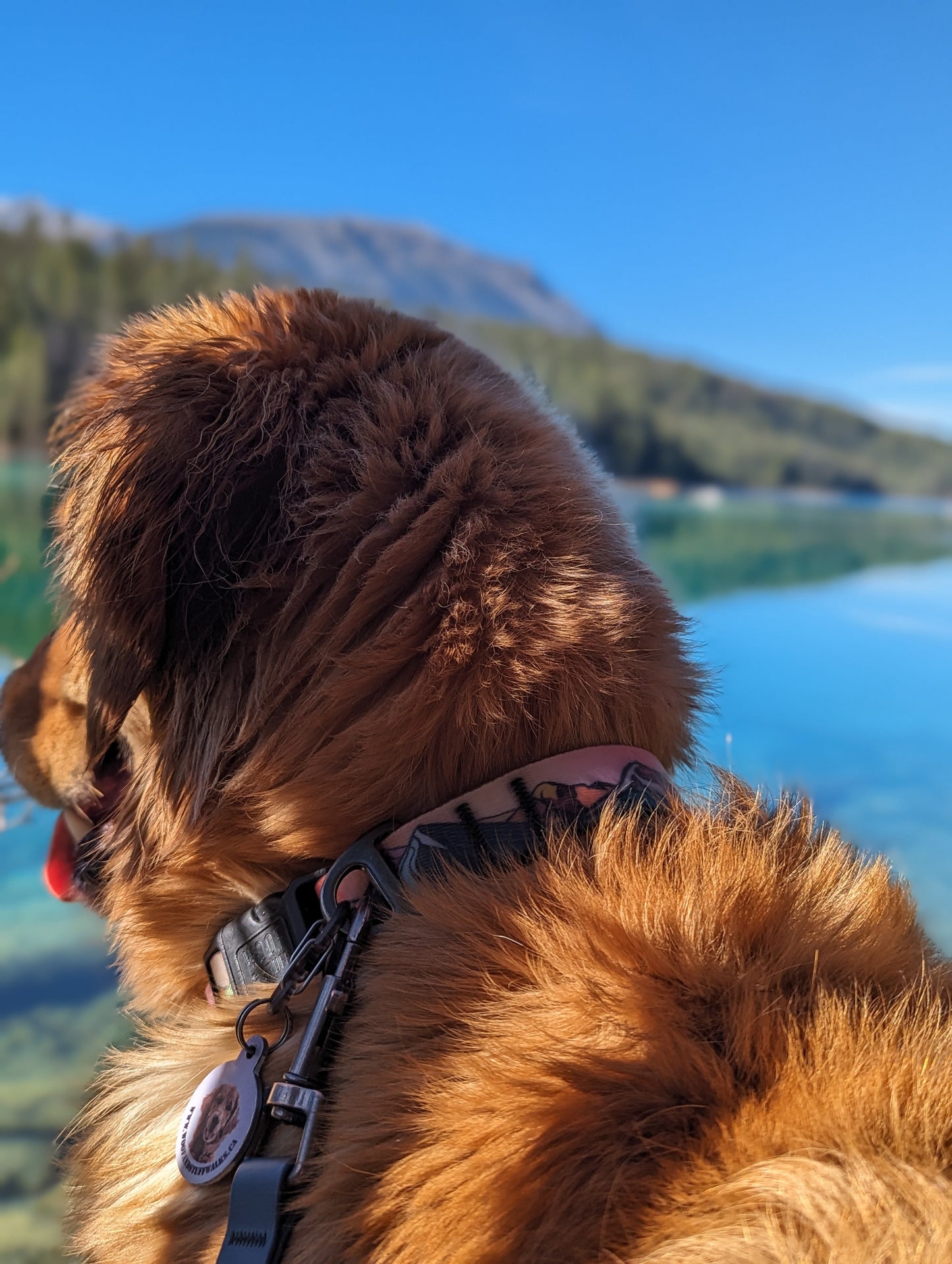 Woof & Stuff Sunrise Peaks Waterproof Collar