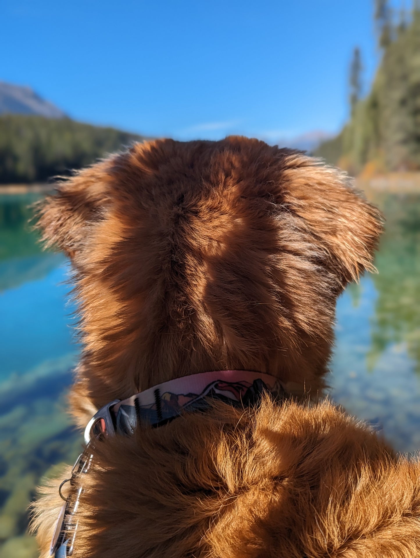 Woof & Stuff Sunrise Peaks Waterproof Collar