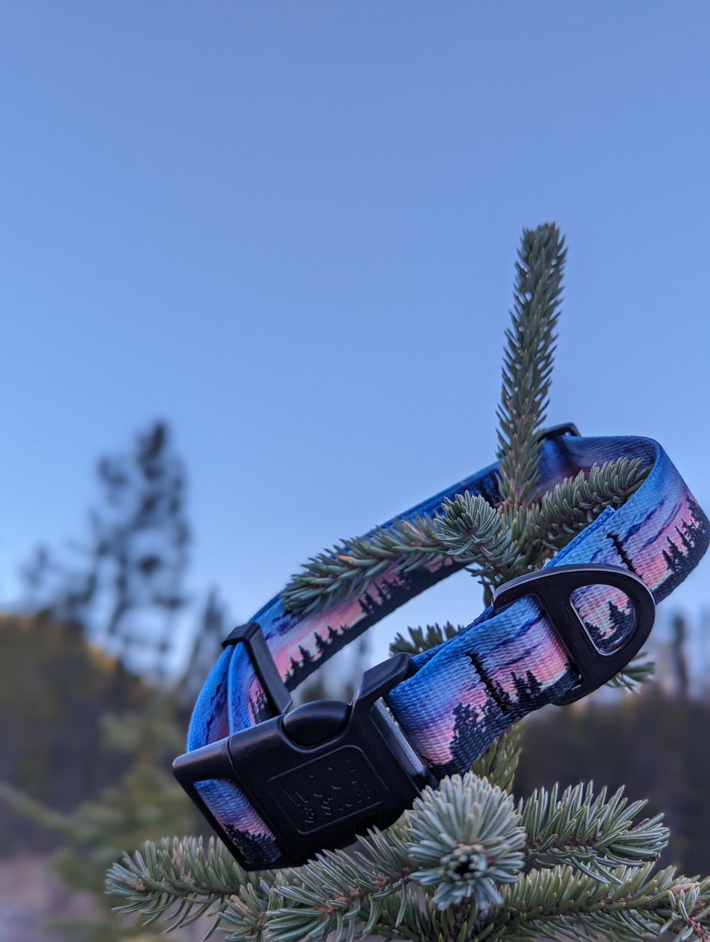 Woof & Stuff Seymour Sunset Collar