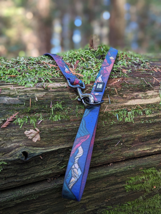 Woof & Stuff Midnight Sun Waterproof Leash
