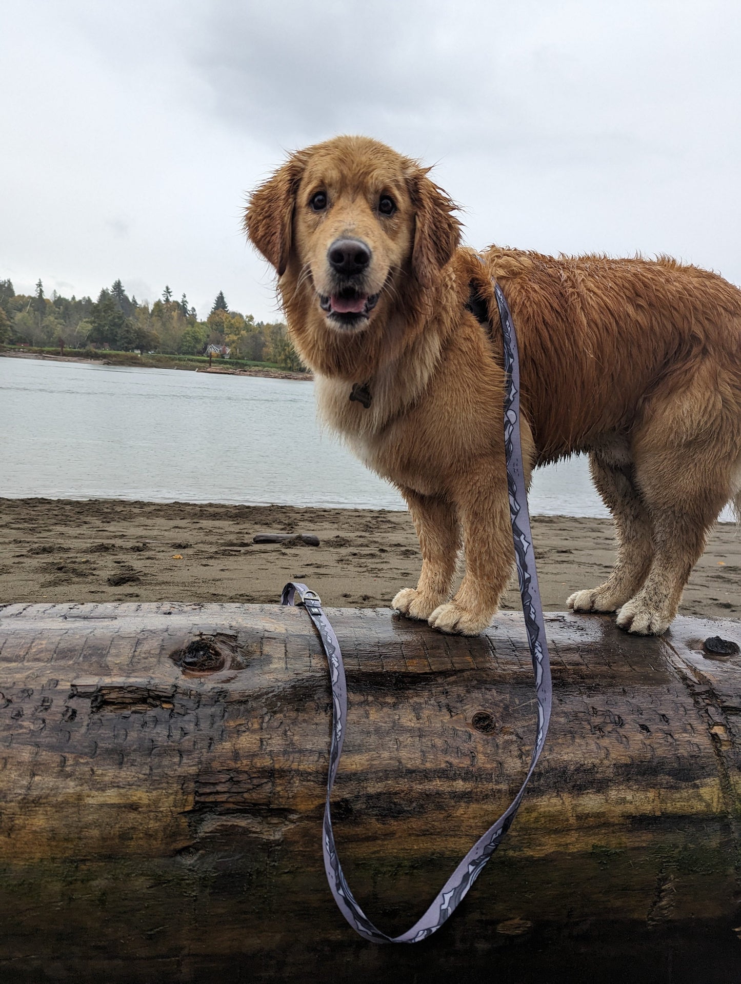 Woof & Stuff Moonlight Waterproof Leash