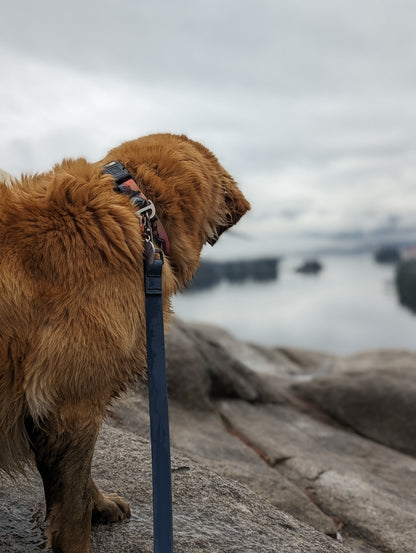 Woof & Stuff Blueberry Waterproof Leash