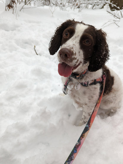 Woof & Stuff Sunrise Peaks Waterproof Leash