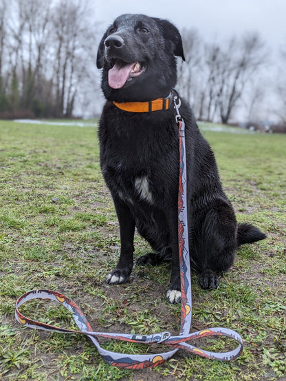 Woof & Stuff Wanderlust Waterproof Leash