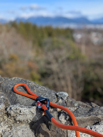 Woof & Stuff Campfire Rope Leash