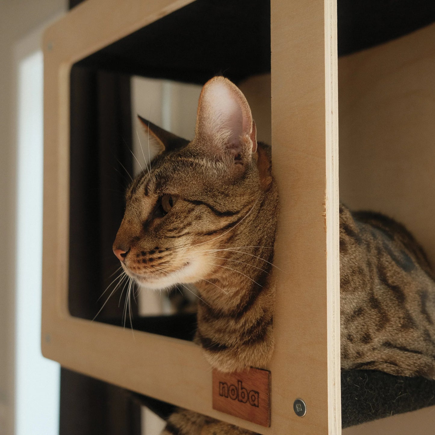 Noba Mural System Kit- The Vertical Playground