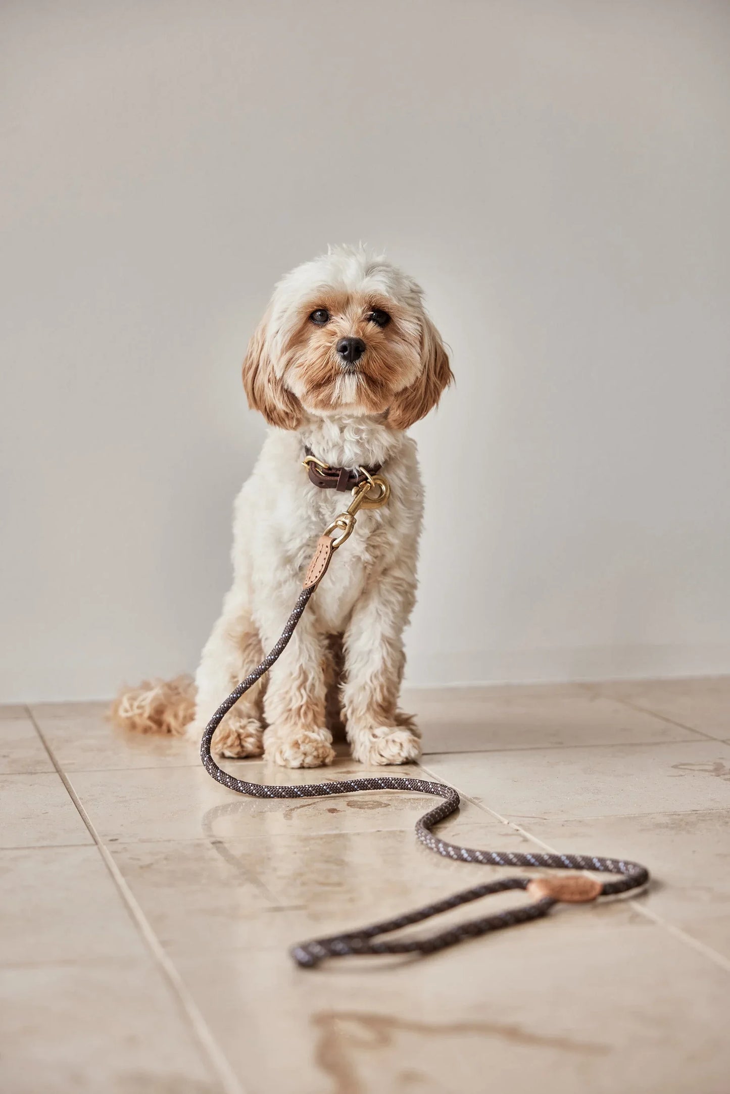 OYOY Perry Dog Leash