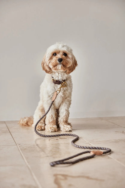 OYOY Perry Dog Leash