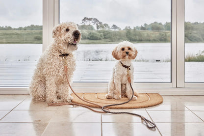 OYOY Perry Dog Leash