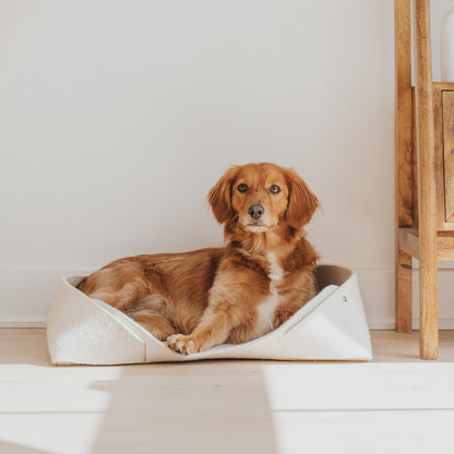 MATT Wool Felt Pet Basket 20″×15″