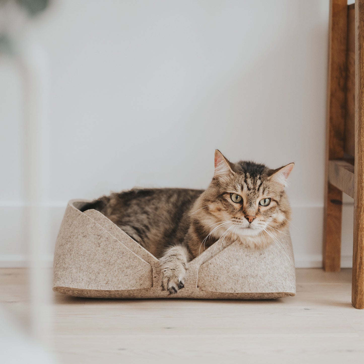 MATT Wool Felt Pet Basket 14″×12″