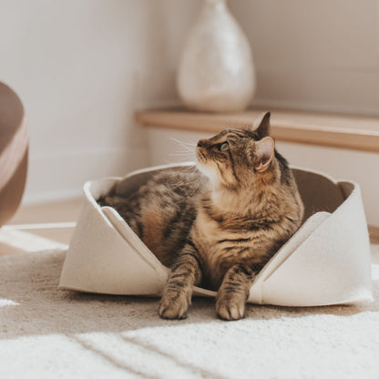 MATT Wool Felt Pet Basket 17″×13″