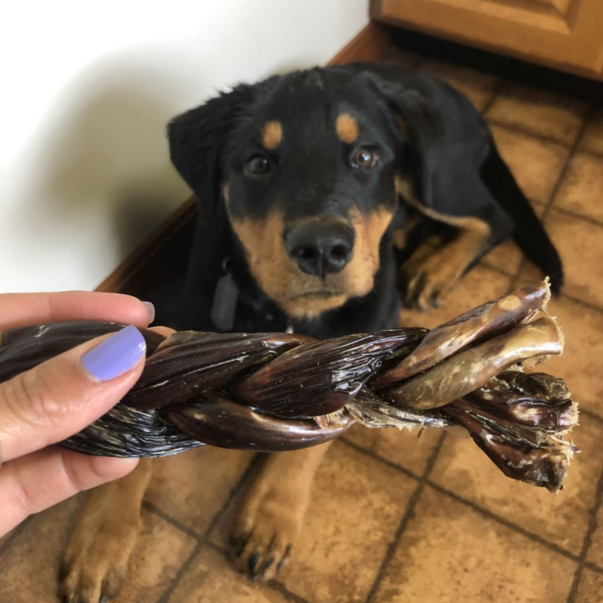 Bully Bunches 6 Inch Braided Jerky Stick