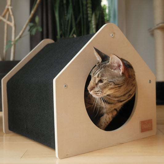 La niche citadine pour animaux de compagnie