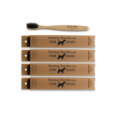 Brosse à dents pour chien en bambou, lot de 4