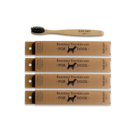 Brosse à dents pour chien en bambou, lot de 4
