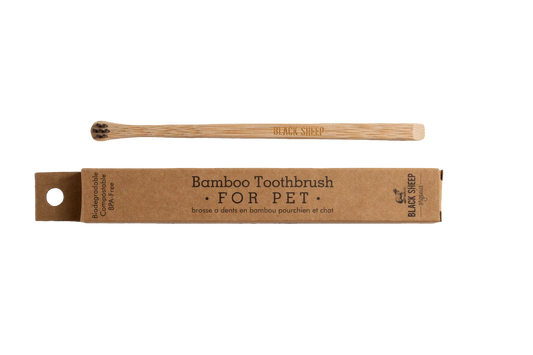 Brosse à dents en bambou pour chien - Petite