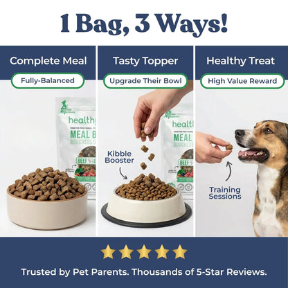 Bouchées Repas au Bœuf