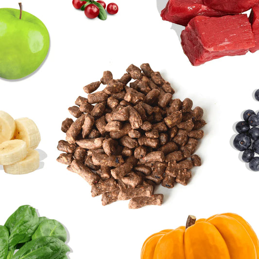 Bouchées Repas au Bœuf