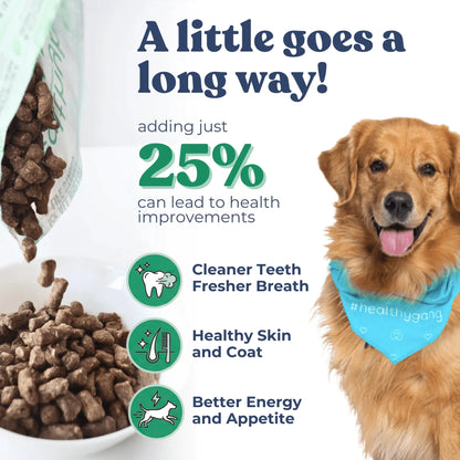 Bouchées Repas au Bœuf