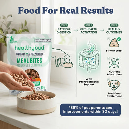 Bouchées Repas au Bœuf