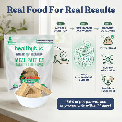 Galettes de repas au bœuf