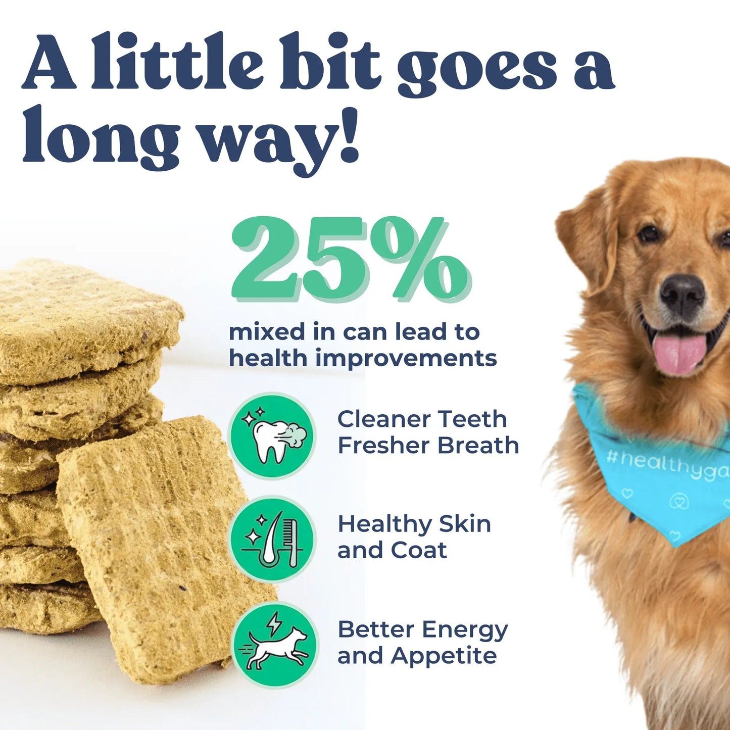 Galettes de repas au bœuf