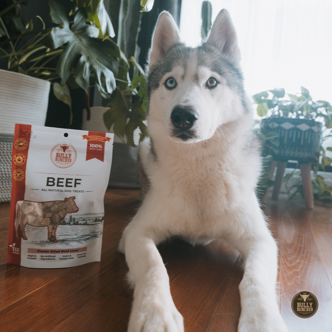Bully Bunches Freeze Dried Beef Liver 100g / 3.5oz