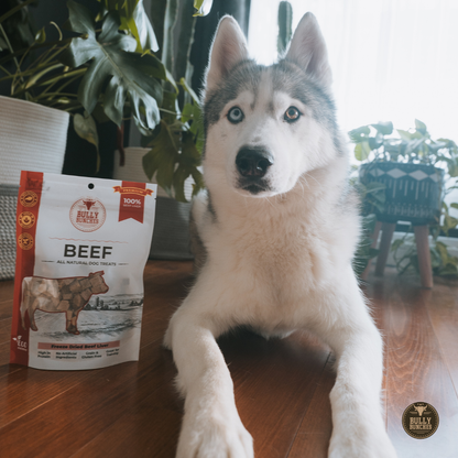 Bully Bunches Freeze Dried Beef Liver 100g / 3.5oz