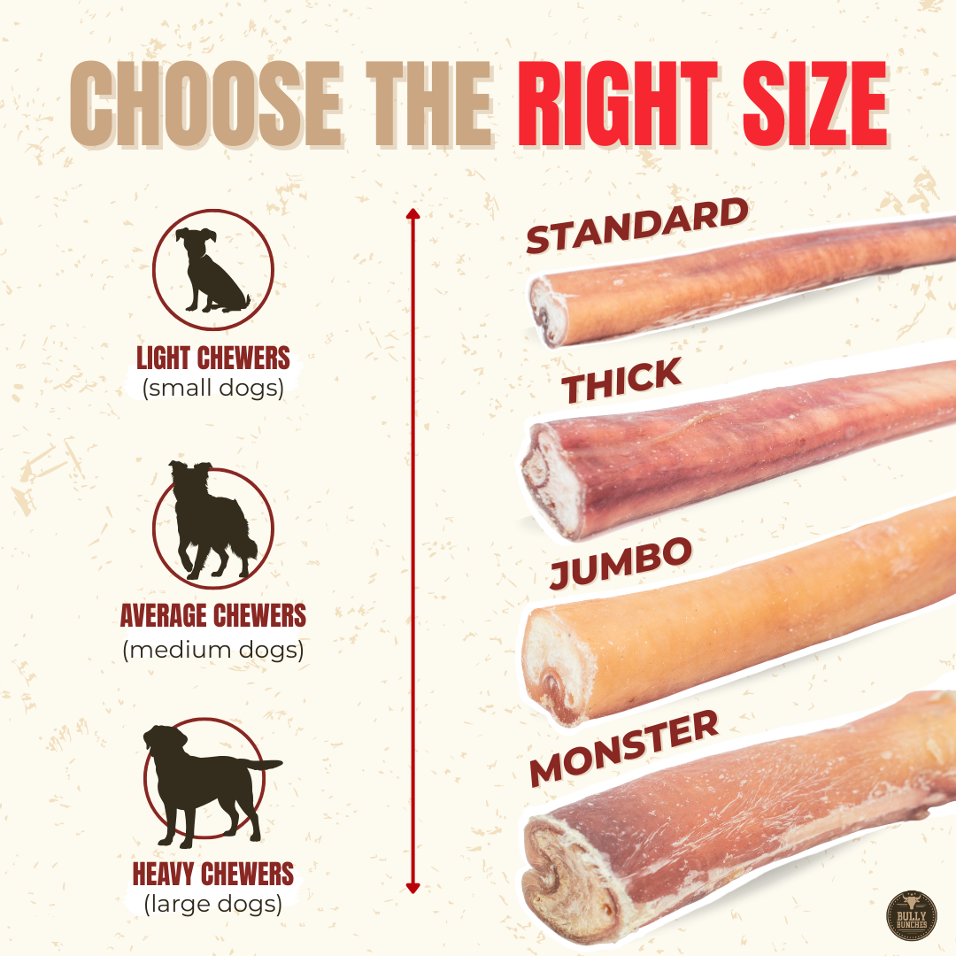 Bully Bunches 6 Inch Monster Bully Stick