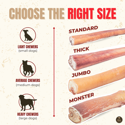 Bully Bunches 12 Inch Thick Bully Stick