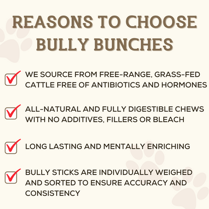 Bully Bunches 5-6 Inch Champion Chew