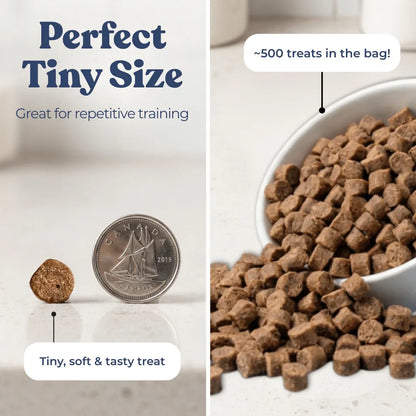 Mini friandises d'entraînement au bœuf