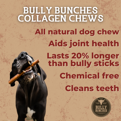 Bully Bunches 10-12 Inch Braided Collagen Stick