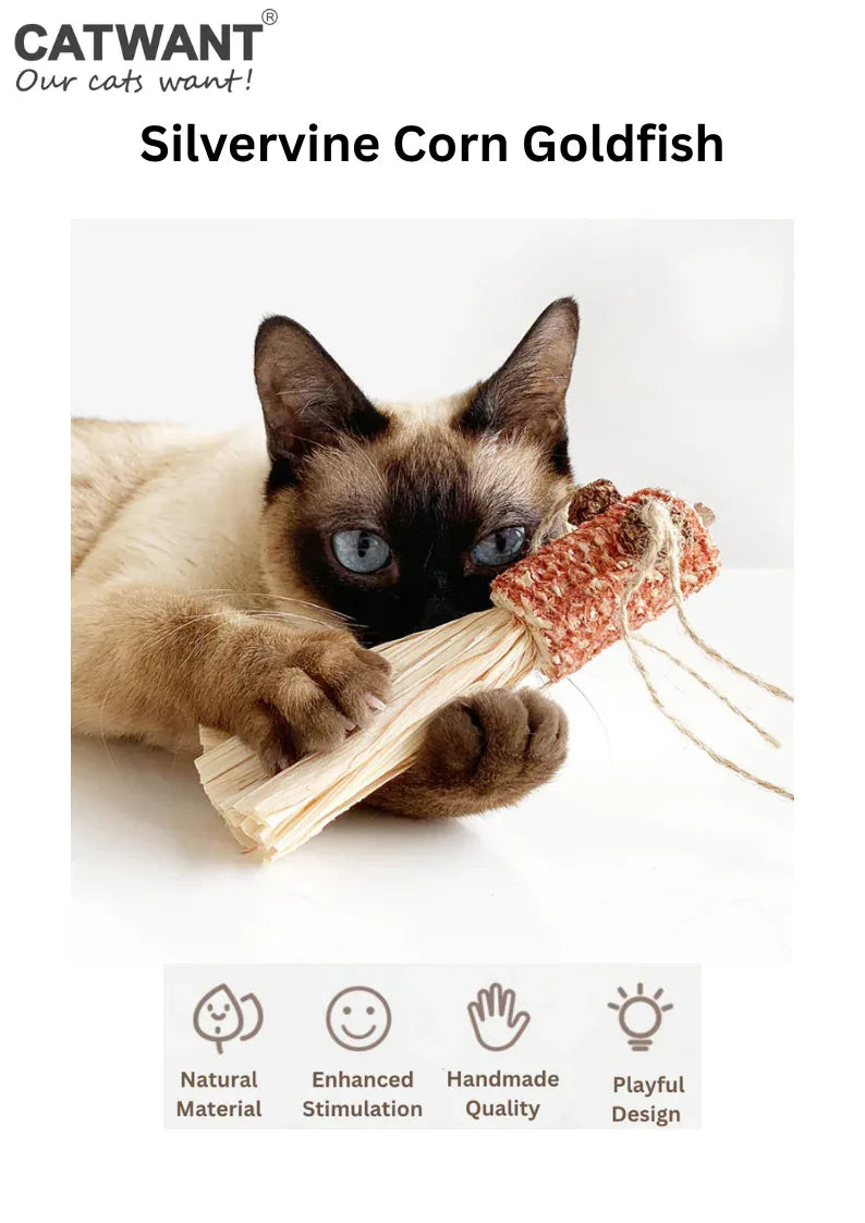 Chabot, Cornue, Poisson rouge