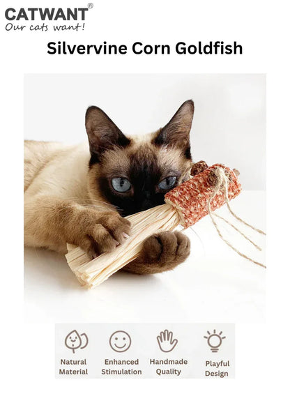 Chabot, Cornue, Poisson rouge