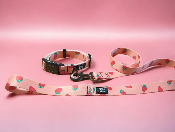 Woof & Stuff Strawberry Leash