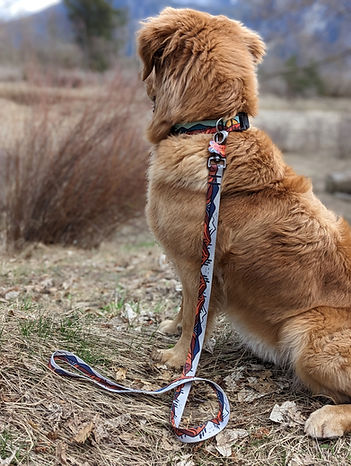 Woof & Stuff Wanderlust Leash