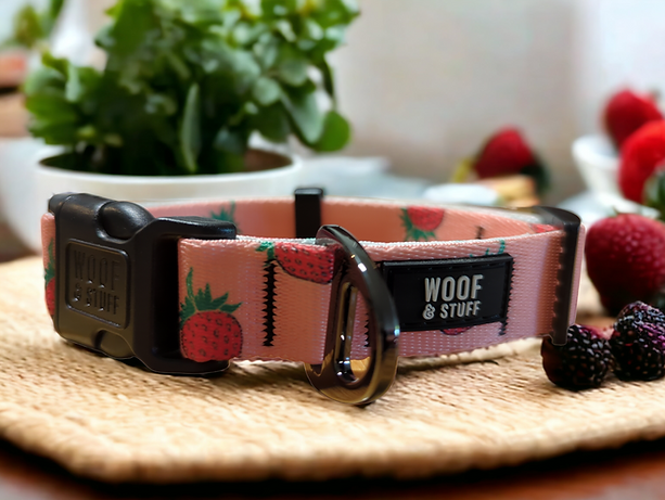 Woof & Stuff Strawberry Collar