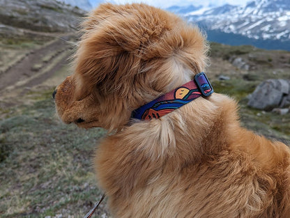 Woof & Stuff Midnight Sun Collar