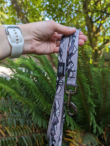 Woof & Stuff Moonlight Leash