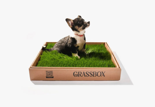 Vraie boîte à gazon