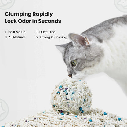 Litière pour chat Tofu Thé Vert Pack Cubique